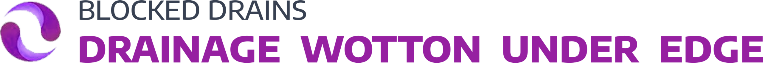 website logo